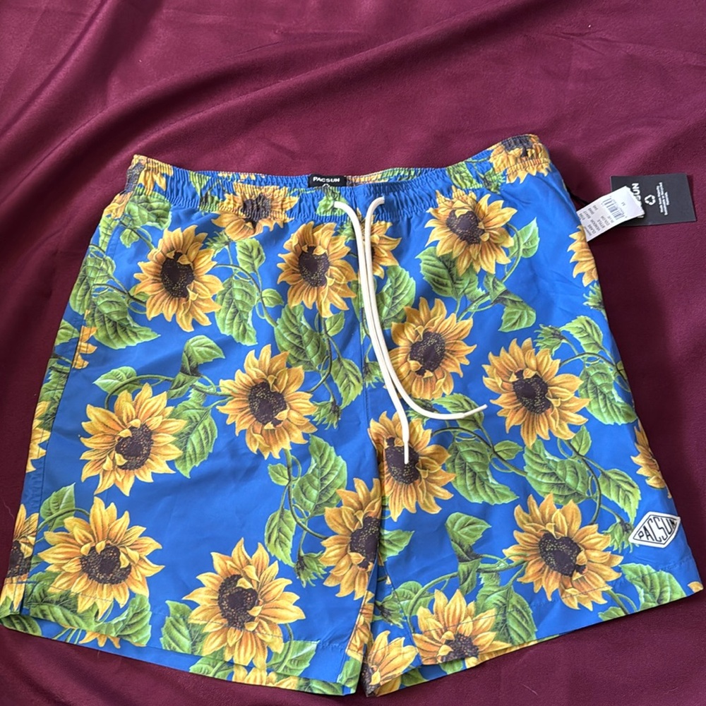 Pacsun Men’s size M lined swim trunks